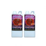 Pelicin Mawar Galawangi